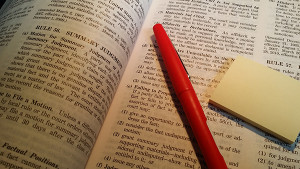 Summary Judgment Red Pen